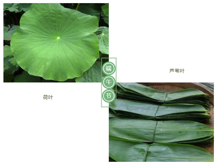 pa集团医纺